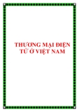 THƯƠNG MẠI ĐIỆN TỬ Ở VIỆT NAM