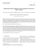 Báo cáo khoa học: "Spatial and seasonal variations in stem respiration of beech trees (Fagus sylvatica)"