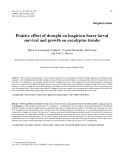 Báo cáo khao học: "Positive effect of drought on longicorn borer larval survival and growth on eucalyptus trunks"