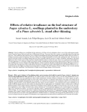 Báo cáo khoa học: "Effects of relative irradiance on the leaf structure of Fagus sylvatica L. seedlings planted in the understory of a Pinus sylvestris L. stand after thinning"