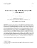 Báo cáo khoa học: "Carbon-based models of individual tree growth: A critical appraisal"