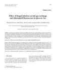 Báo cáo khoa học: "Effect of fungal infection on leaf gas-exchange and chlorophyll fluorescence in Quercus ilex"