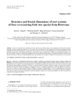 Báo cáo toán học: "Structure and fractal dimensions of root systems of four co-occurring fruit tree species from Botswana"