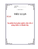 Tiểu luận: Sự phân hoá giàu nghèo chủ yếu ở nông thôn và thành thị.