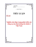 Tiểu luận:Nghiên cứu thực trạng phát triển các công cụ của thị trường tài chính ở Việt Nam