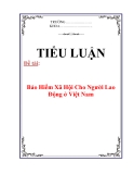 Tiểu luận: Bảo Hiểm Xã Hội Cho Người Lao Động ở Việt Nam