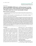 Báo cáo toán học: "OXIDATIVE PHOSPHORYLATION: Kinetic and Thermodynamic Correlation between Electron Flow, Proton Translocation, Oxygen Consumption and ATP Synthesis under Close to In Vivo Concentrations of Oxygen"