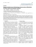 Báo cáo y học: "Malignant phyllodes tumor with heterologous liposarcomatous differentiation and tubular adenoma-like epithelial component"