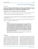 Báo cáo y học: "Expression of Human Globular Adiponectin-Glucagon-Like Peptide-1 Analog Fusion Protein and Its Assay of Glucose-Lowering Effect In Vivo"