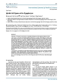 Báo cáo y học: "Spindle Cell Lipoma of the Hypopharynx"