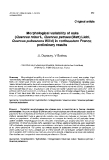 Báo cáo khoa học: "Morphological variability of oaks (Quercus robur L, Quercus petraea (Matt) Liebl, Quercus pubescens Willd) in northeastern France: preliminary results"