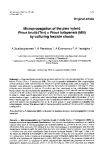 Báo cáo khoa học: "Micropropagation of the pine hybrid Pinus brutia (Ten) x Pinus halepensis (Mill) by culturing fascicle shoots"