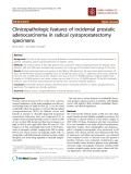 báo cáo khoa học: "Clinicopathologic features of incidental prostatic adenocarcinoma in radical cystoprostatectomy specimens"