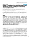 Báo cáo y học: "nhibition of established collagen-induced arthritis with a tumour α necrosis factor-α inhibitor expressed from a self-contained doxycycline regulated plasmid"