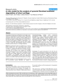 Báo cáo y học: "In vitro model for the analysis of synovial fibroblast-mediated degradation of intact cartilage"