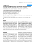 Báo cáo y học: "Osteoclast-independent bone resorption by fibroblast-like cells"