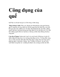 Công dụng của quế 