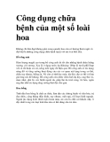 Công dụng chữa bệnh của một số loài hoa 