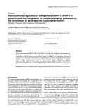 Báo cáo y học: "Transcriptional regulation of collagenase (MMP-1, MMP-13) genes in arthritis: integration of complex signaling pathways for the recruitment of gene-specific transcription factor"