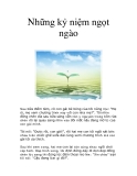 Những kỷ niệm ngọt ngào 