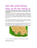 Sữa đậu nành không thực sự tốt cho chúng ta