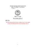 Tiểu luận: Khả năng thống nhất tiền tệ khu vực Đông Nam Á từ việc nghiên cứu quá trình thống nhất tiền tệ của Cộng đồng Châu Âu