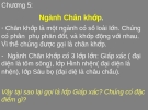 Bài giảng về Ngành Chân khớp.