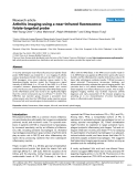 Báo cáo y học: "Arthritis imaging using a near-infrared fluorescence folate-targeted probe"