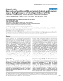 Báo cáo y học: "Expression of cytokine mRNA and protein in joints and lymphoid organs during the course of rat antigen-induced arthritis"