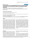 Báo cáo y học: "Characterization of histopathology and gene-expression profiles of synovitis in early rheumatoid arthritis using targeted biopsy specime"