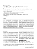 Báo cáo y học: " α Anti-TNF-α antibody allows healing of joint damage in polyarthritic transgenic mice"