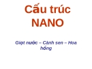 Cấu trúc NANO