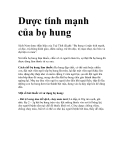 Dược tính mạnh của bọ hung 