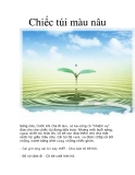 Chiếc túi màu nâu  