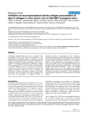 Báo cáo y học: "Inhibition of macropinocytosis blocks antigen presentation of type II collagen in vitro and in vivo in HLA-DR1 transgenic mice"