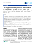 Báo cáo khoa học: "The alkylphospholipid, perifosine, radiosensitizes prostate cancer cells both in vitro and in vivo"