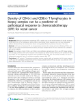 Báo cáo khoa học: "Density of CD4(+) and CD8(+) T lymphocytes in biopsy samples can be a predictor of pathological response to chemoradiotherapy (CRT) for rectal cancer"