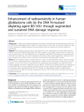 Báo cáo khoa học: " Enhancement of radiosensitivity in human glioblastoma cells by the DNA N-mustard alkylating agent BO-1051 through augmented and sustained DNA damage response"