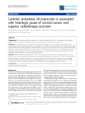 Báo cáo khoa học: "Carbonic anhydrase XII expression is associated with histologic grade of cervical cancer and superior radiotherapy outcome"