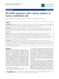 Báo cáo khoa học: "MicroRNA expression after ionizing radiation in human endothelial cells"