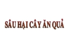 Các loài sâu hại cây ăn quả