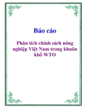 Báo cáo: Phân tích chính sách nông nghiệp Việt Nam trong khuôn khổ WTO