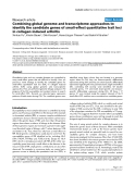 Combining global genome and transcriptome approaches to identify the candidate genes of small-effect quantitative trait loci in collagen-induced arthritis