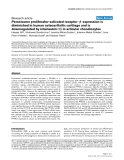 Báo cáo y học: "Peroxisome proliferator-activated receptor γ1 expression is diminished in human osteoarthritic cartilage and is downregulated by interleukin-1β in articular chondrocytes"