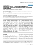 Báo cáo y học: "Glucosamine prevents in vitro collagen degradation in chondrocytes by inhibiting advanced lipoxidation reactions and protein oxidation"