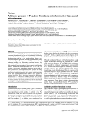 Báo cáo y học: "Activator protein 1 (Fos/Jun) functions in inflammatory bone and skin disease"