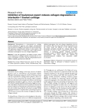 Báo cáo y học: "Inhibition of hyaluronan export reduces collagen degradation in interleukin-1 treated cartilage"