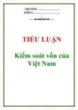 Tiểu luận: Kiểm soát vốn của Việt Nam