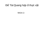 Quang hợp của thực vật