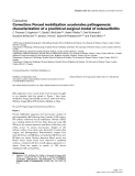 Báo cáo y học: "Correction: Forced mobilization accelerates pathogenesis: characterization of a preclinical surgical model of osteoarthritis"